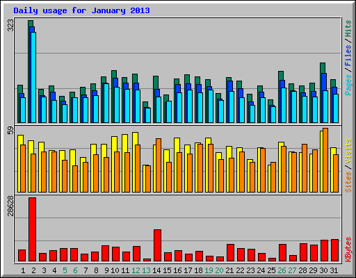 Daily usage for January 2013