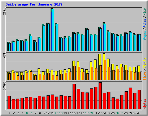 Daily usage for January 2019
