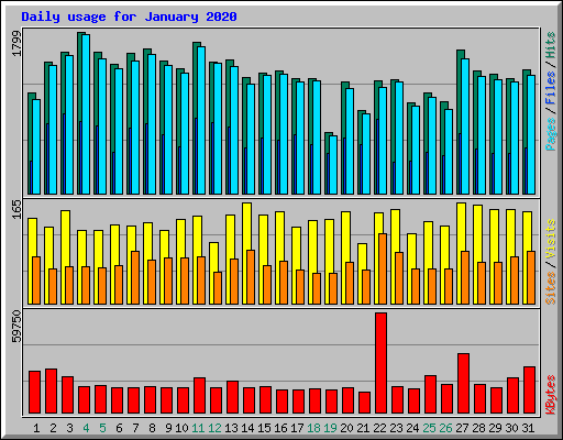 Daily usage for January 2020