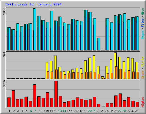 Daily usage for January 2024