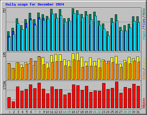 Daily usage for December 2024