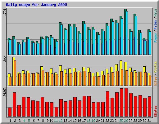 Daily usage for January 2025
