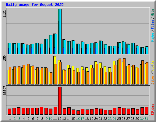 Daily usage for August 2025