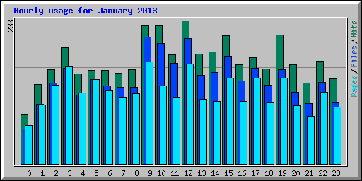 Hourly usage for January 2013