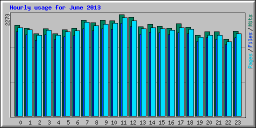 Hourly usage for June 2013