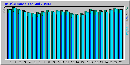 Hourly usage for July 2013