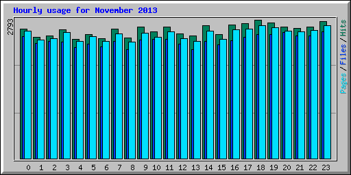 Hourly usage for November 2013