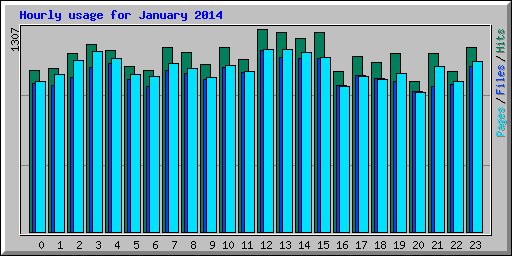 Hourly usage for January 2014