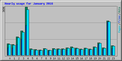 Hourly usage for January 2016