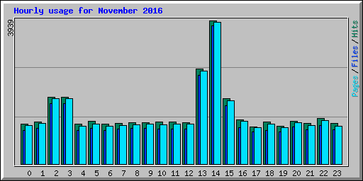 Hourly usage for November 2016