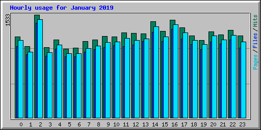 Hourly usage for January 2019