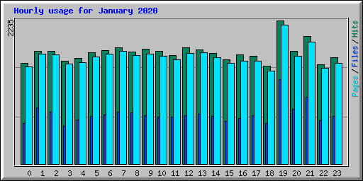 Hourly usage for January 2020