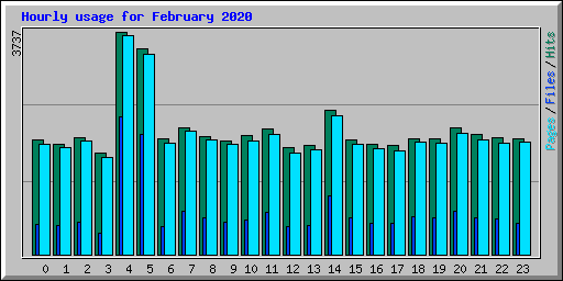 Hourly usage for February 2020