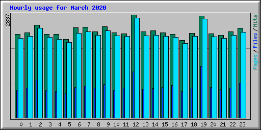 Hourly usage for March 2020