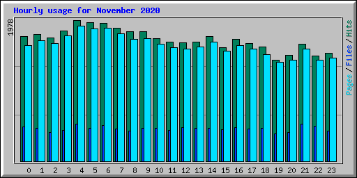 Hourly usage for November 2020