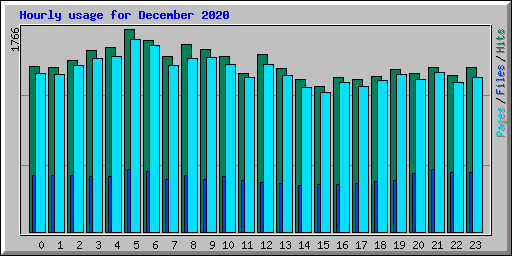Hourly usage for December 2020