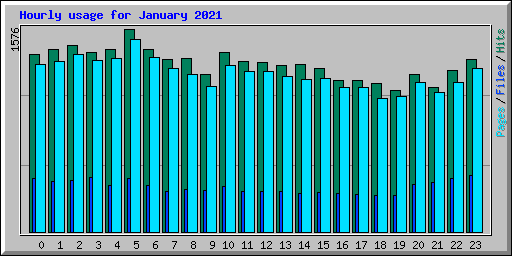 Hourly usage for January 2021