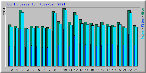 Hourly usage for November 2021