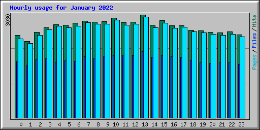 Hourly usage for January 2022