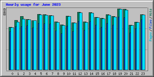 Hourly usage for June 2023