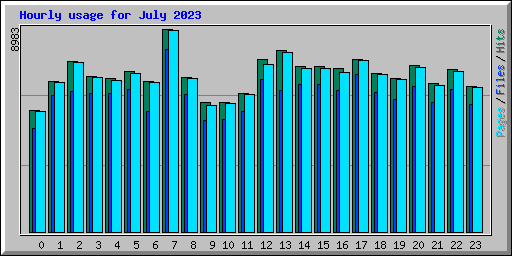 Hourly usage for July 2023