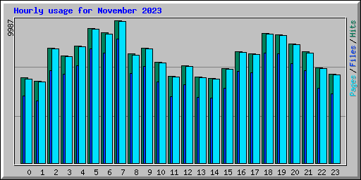 Hourly usage for November 2023