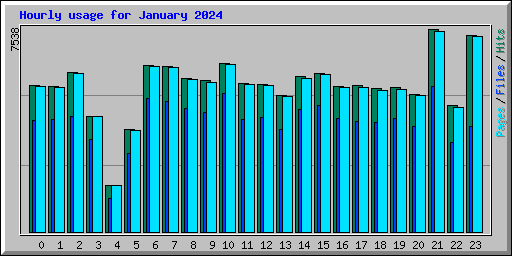 Hourly usage for January 2024