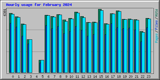 Hourly usage for February 2024