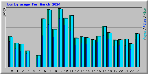 Hourly usage for March 2024