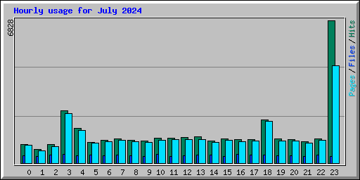 Hourly usage for July 2024