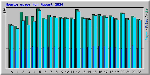 Hourly usage for August 2024