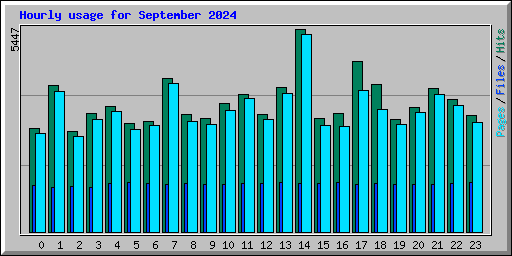 Hourly usage for September 2024