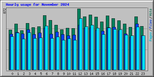Hourly usage for November 2024