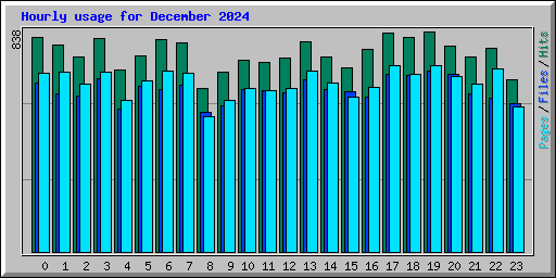 Hourly usage for December 2024