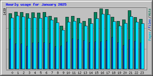 Hourly usage for January 2025