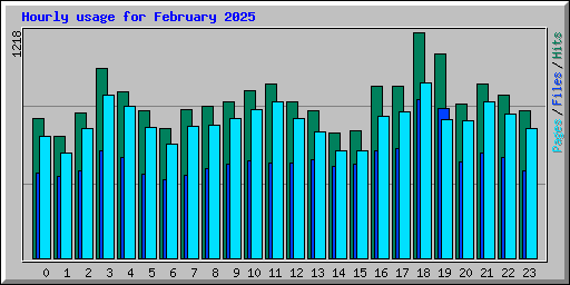 Hourly usage for February 2025