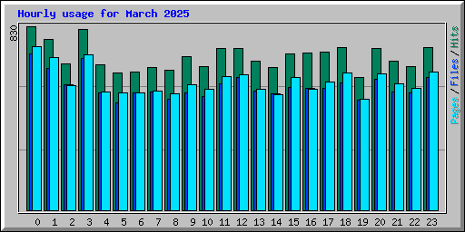 Hourly usage for March 2025