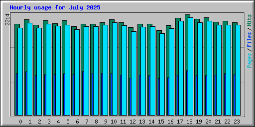 Hourly usage for July 2025