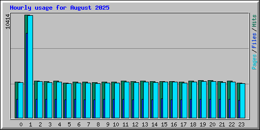 Hourly usage for August 2025